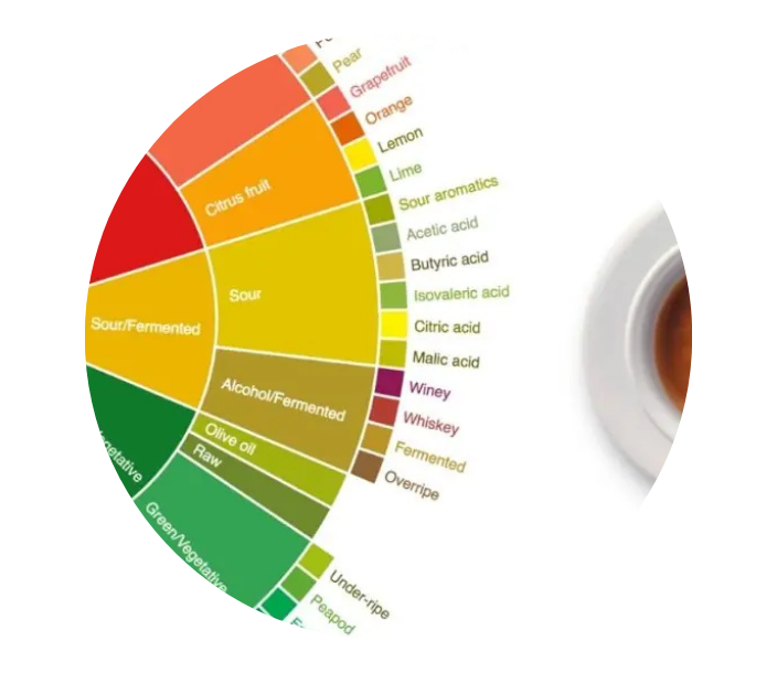 Güncel Kargo Ücretleri