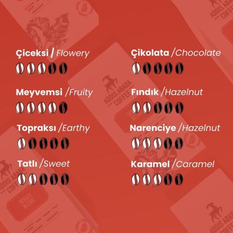 Addis Ababa Sebata Blend Çekirdek Kahve 1 Kg.